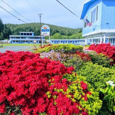 Winchester Bay Inn Thumbnail