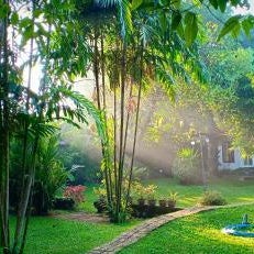 Mango House Japanese Guest House Thumbnail