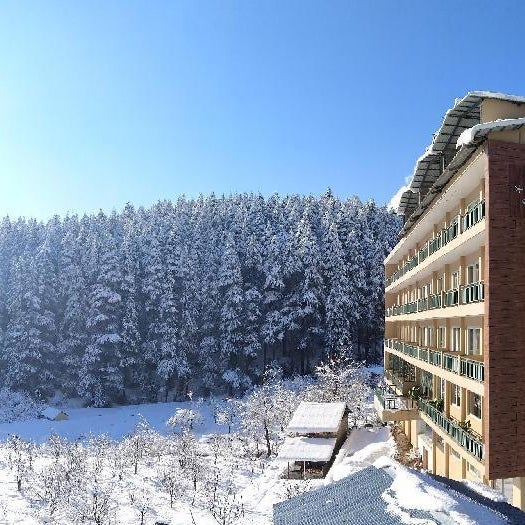 The Orchard Greens Resort - A centrally heated property