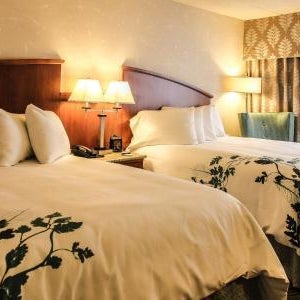 Wingate by Wyndham Elkins Thumbnail