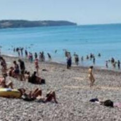 Le Goéland Thumbnail