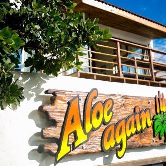 Aloe Again Thumbnail