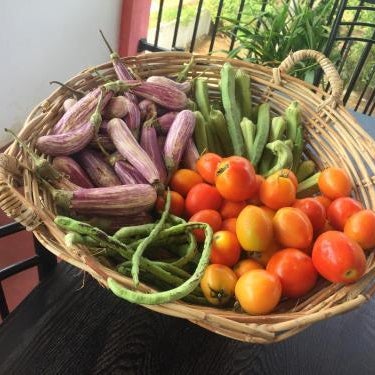 Organic Garden Resort Sigiriya Thumbnail