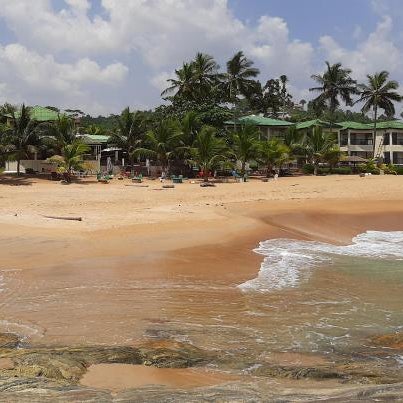 Hotel Palm Rock Beach Thumbnail