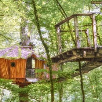 L'Arbre à Cabane Thumbnail