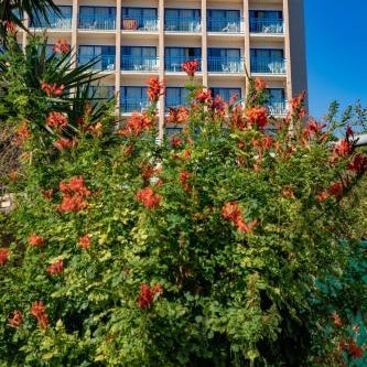 Navarria Hotel Thumbnail