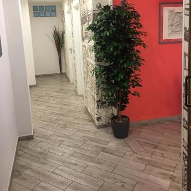 B&B Ariston Pisa Tower