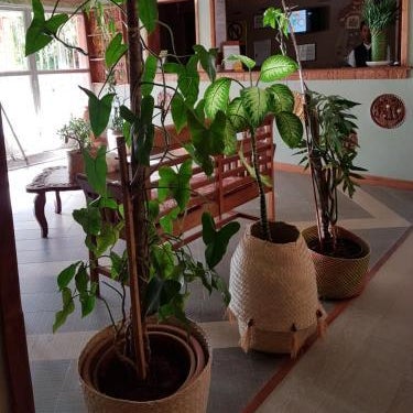 HOTEL IVATO , Airport